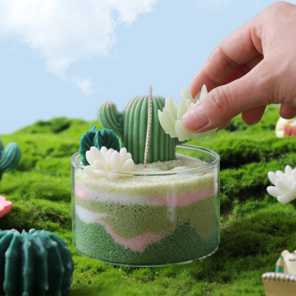 DIY Succulent Indoor Plants